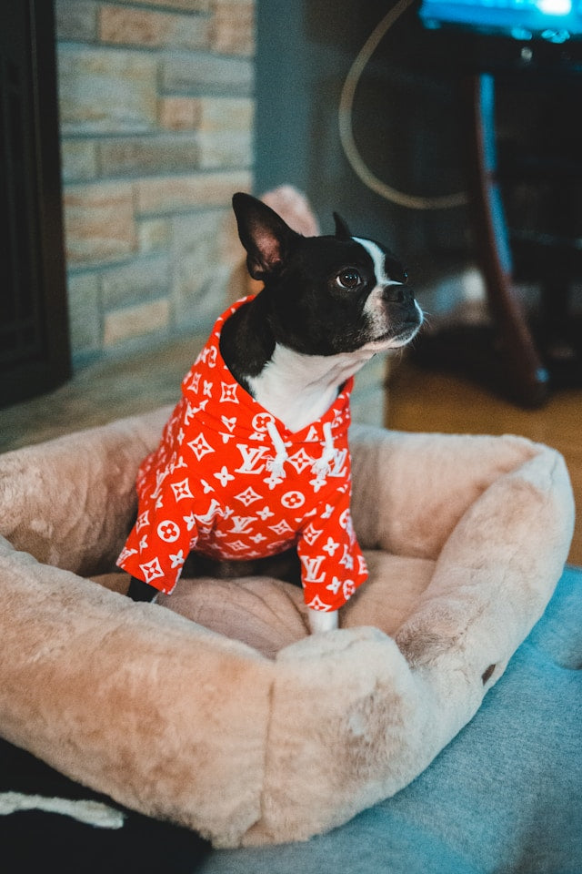 Cool and Comfy: Creative Design Ideas for Custom Dog Tank Top Shirts