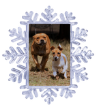 Christmas Hanging Snowflake Ornament Rectangle