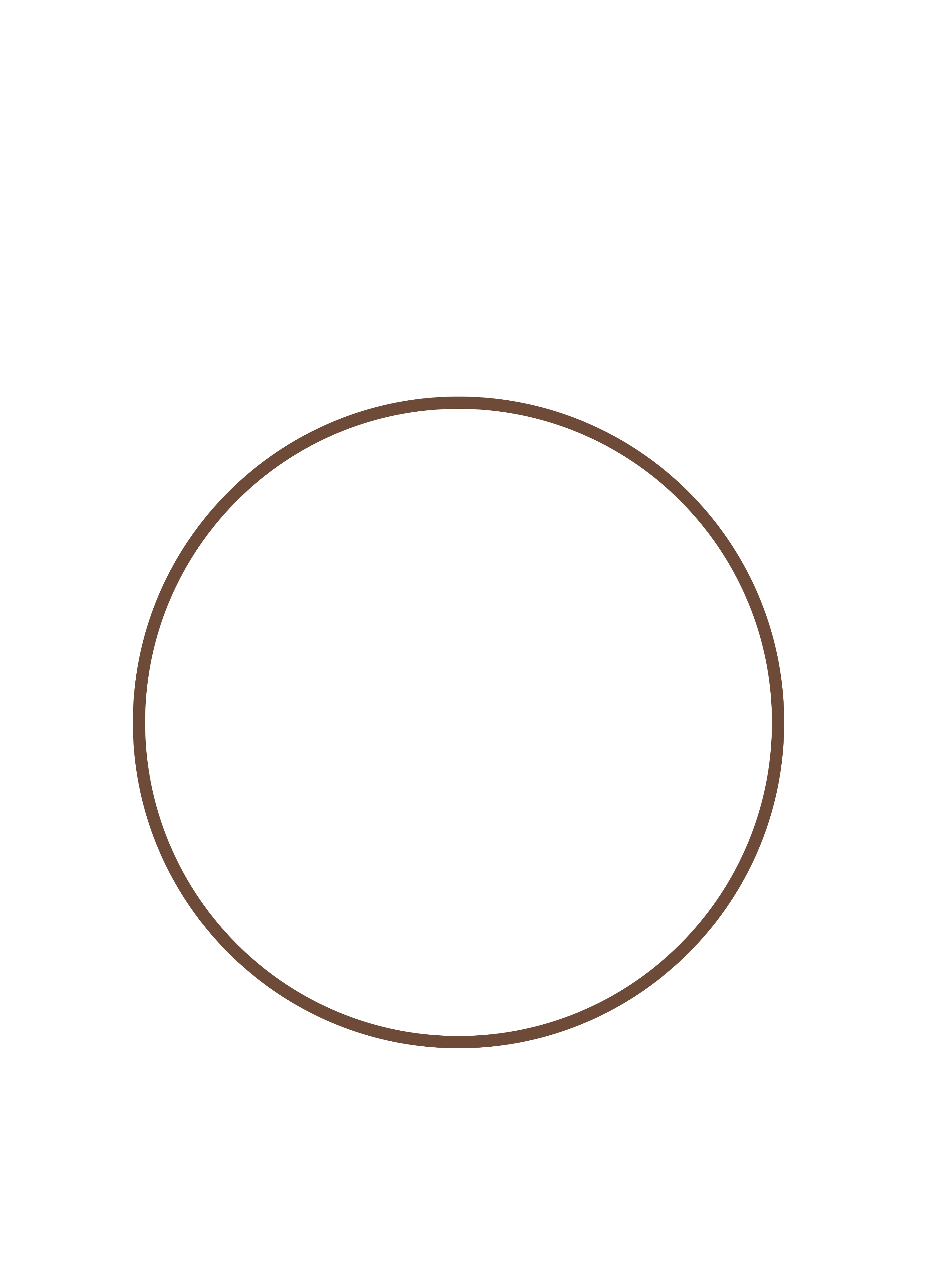 Coasters Cork Backed Round