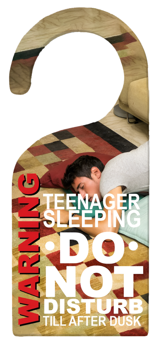 Do Not Disturb Door Knob (MDF)