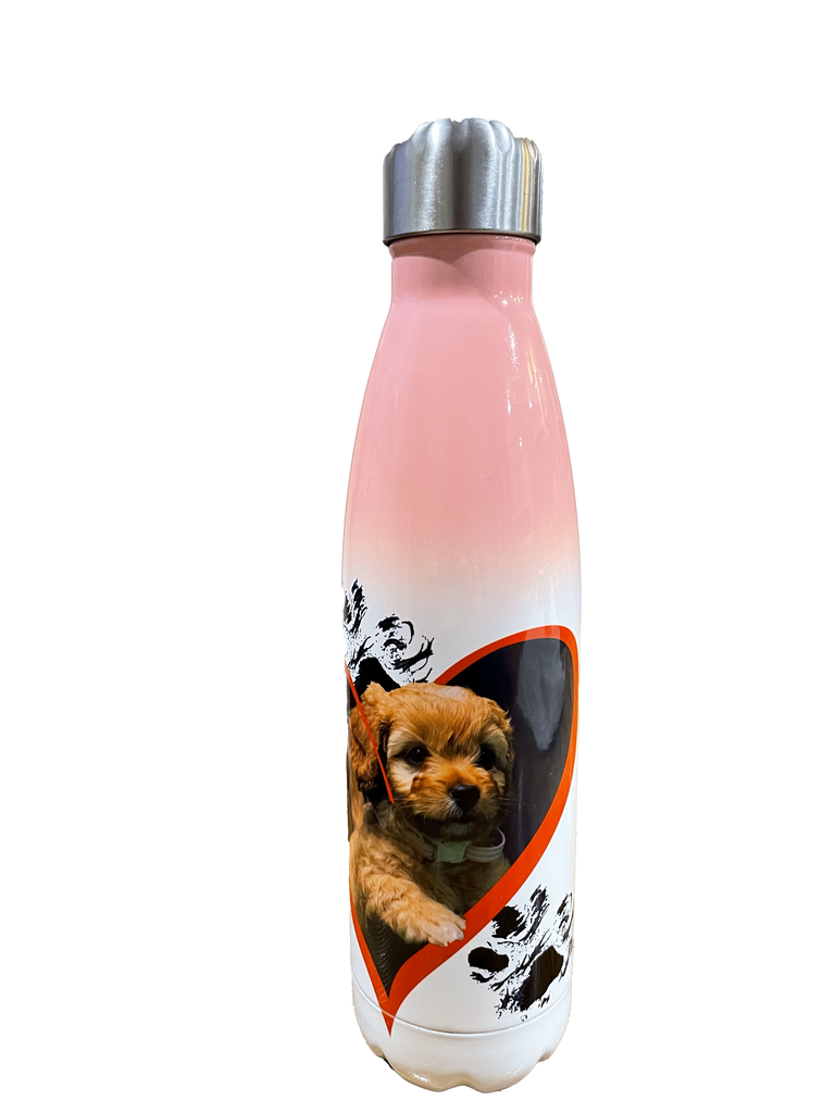 Custom Printed Water Bottles: Eco-Friendly & The Perfect Gift That People Will Carry Everywhere